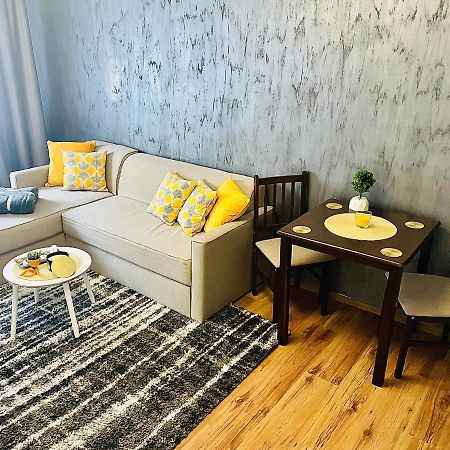 S&S Apartment Studio At Ground Floor Timisoara Town !!! Parcare La Locatie !! Екстериор снимка