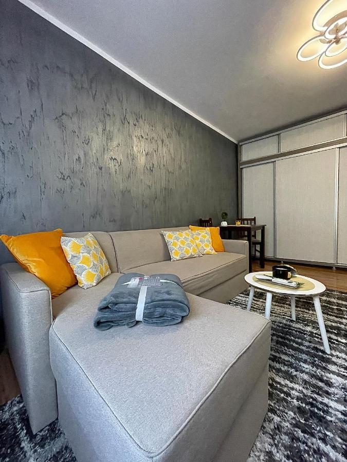 S&S Apartment Studio At Ground Floor Timisoara Town !!! Parcare La Locatie !! Екстериор снимка