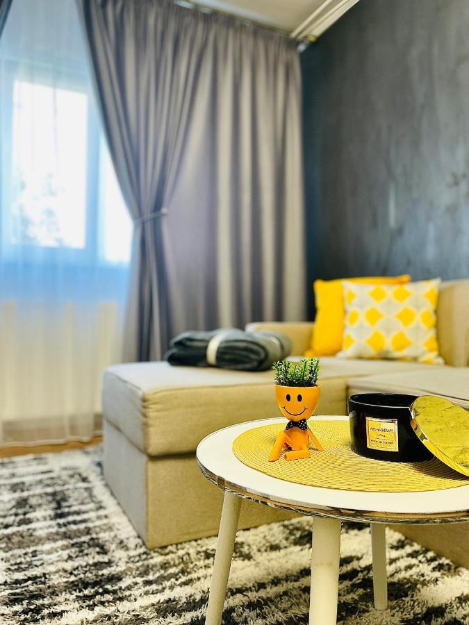 S&S Apartment Studio At Ground Floor Timisoara Town !!! Parcare La Locatie !! Екстериор снимка