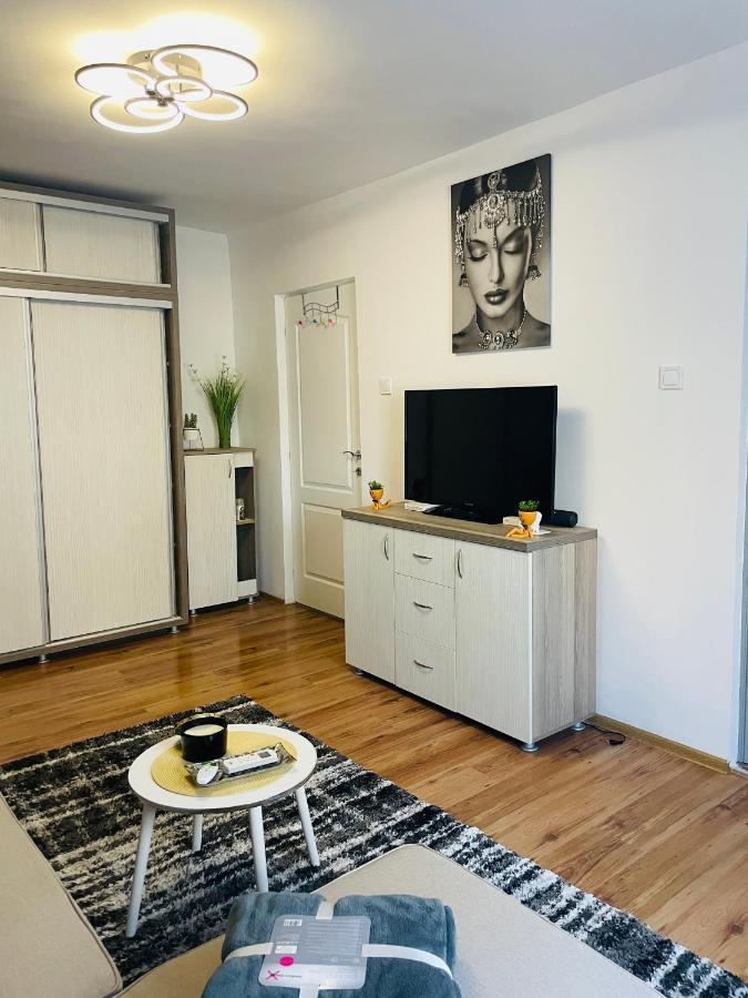 S&S Apartment Studio At Ground Floor Timisoara Town !!! Parcare La Locatie !! Екстериор снимка