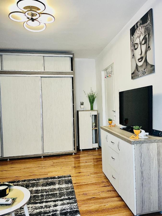 S&S Apartment Studio At Ground Floor Timisoara Town !!! Parcare La Locatie !! Екстериор снимка