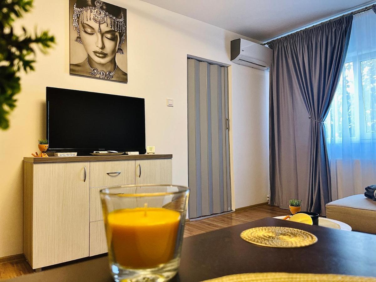 S&S Apartment Studio At Ground Floor Timisoara Town !!! Parcare La Locatie !! Екстериор снимка