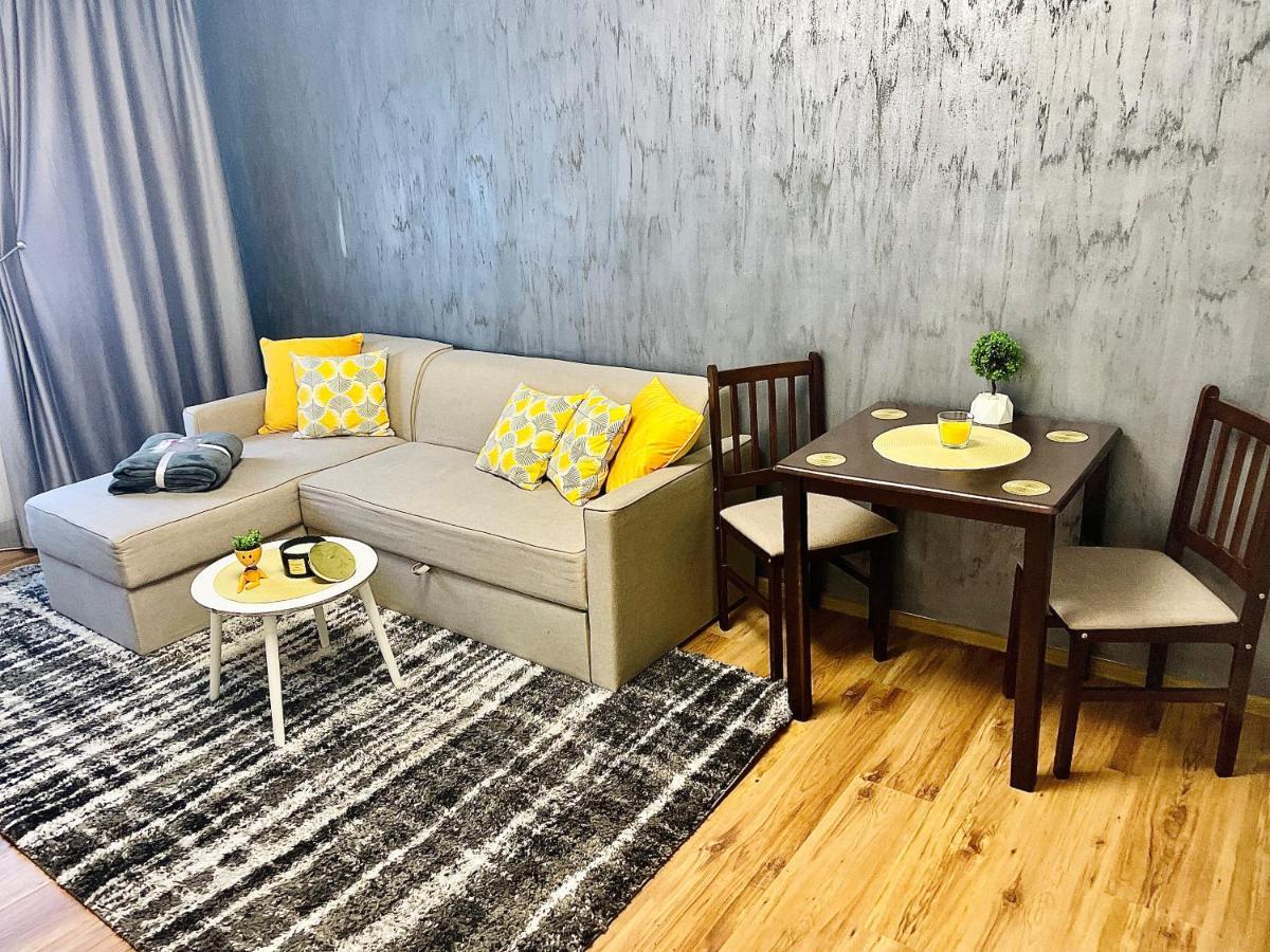 S&S Apartment Studio At Ground Floor Timisoara Town !!! Parcare La Locatie !! Екстериор снимка