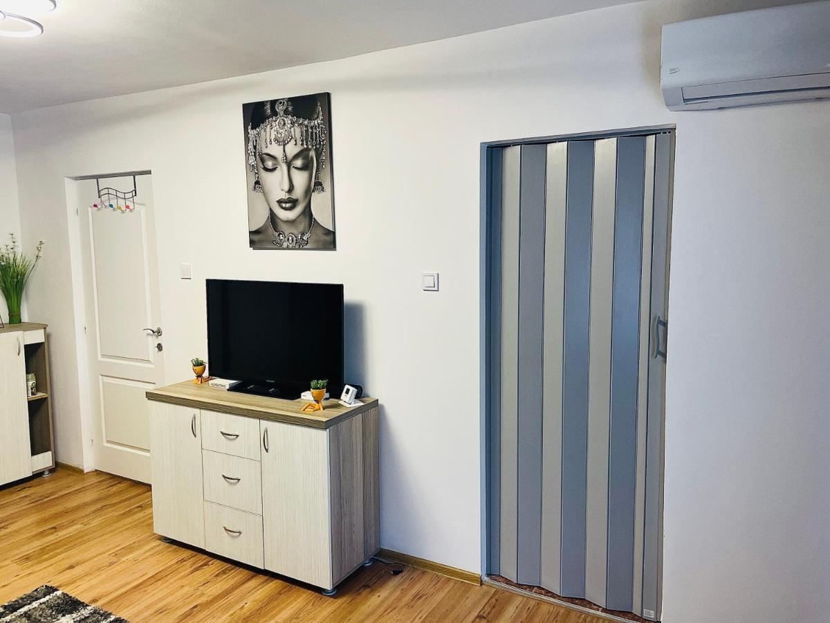 S&S Apartment Studio At Ground Floor Timisoara Town !!! Parcare La Locatie !! Екстериор снимка